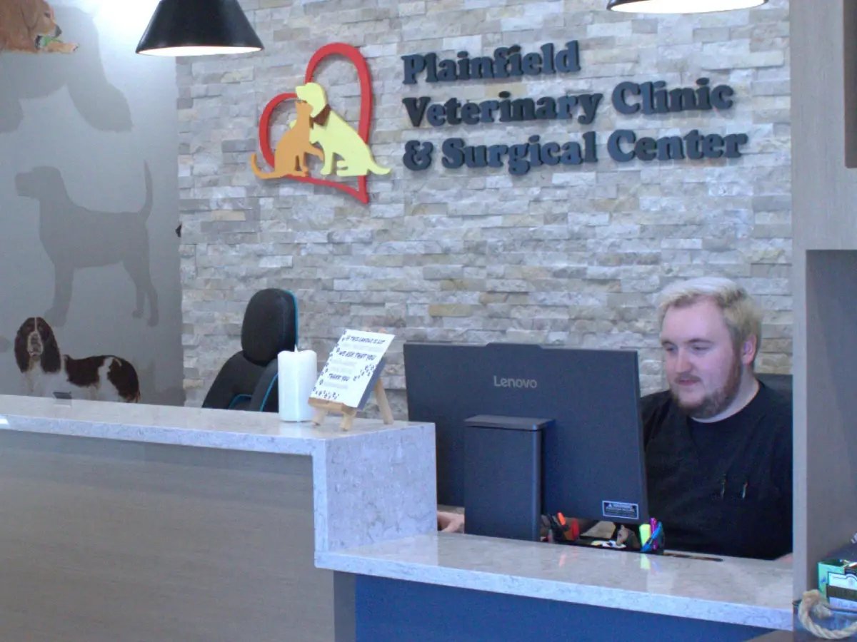 CSdesk