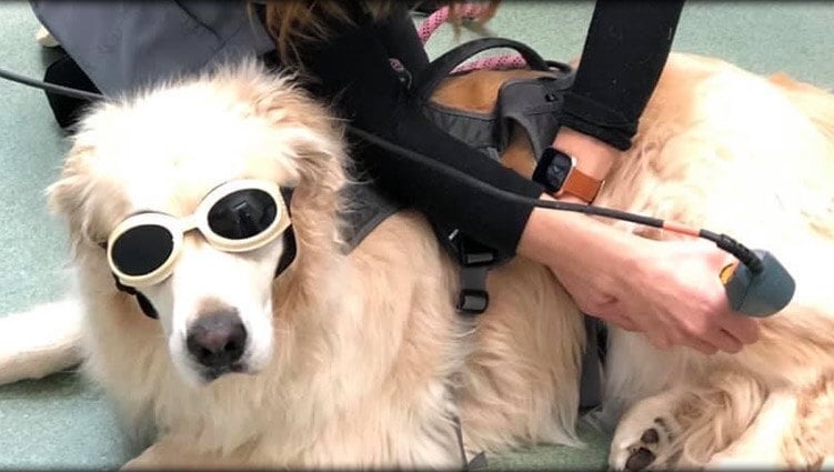 laser therapy-1