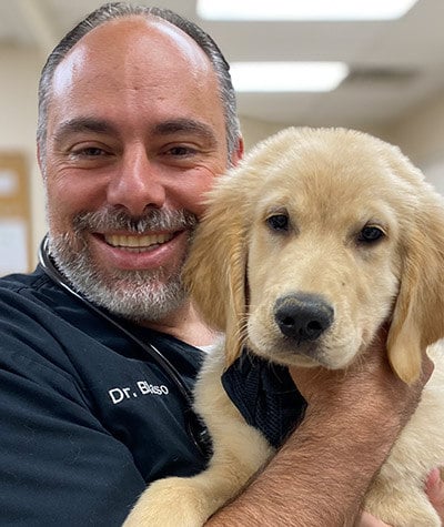 Paul Blaso, DVM, Veterinarian