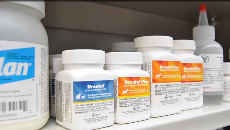 veterinary-pharmacy-1