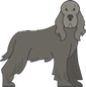 Gray Dog
