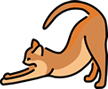Yellow Cat