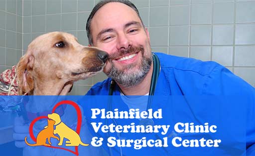 Veterinary Medicine| Full Service Animal Hospital and Veterinarian