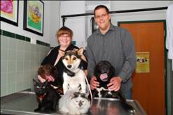 Plainfield Veterinary Clinic Online Reviews