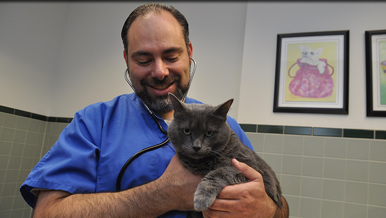 Meet the Staff from Plainfield Veterinary Clinic and Surgical Center