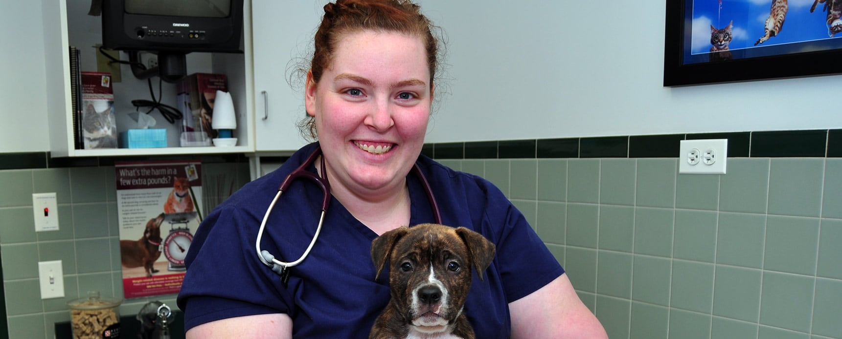 Compassionate Veterinary Care in Plainfield IL