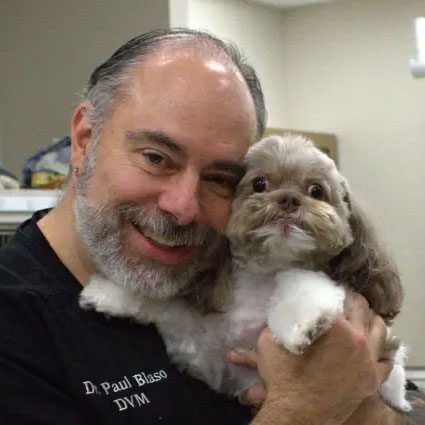 smiling male veterinarian holding cute dog