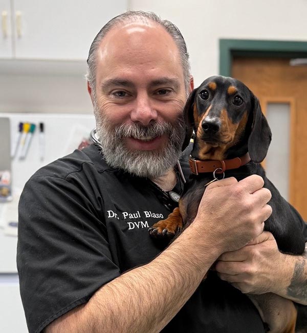 Dr. Blaso with a black and brown dachshund