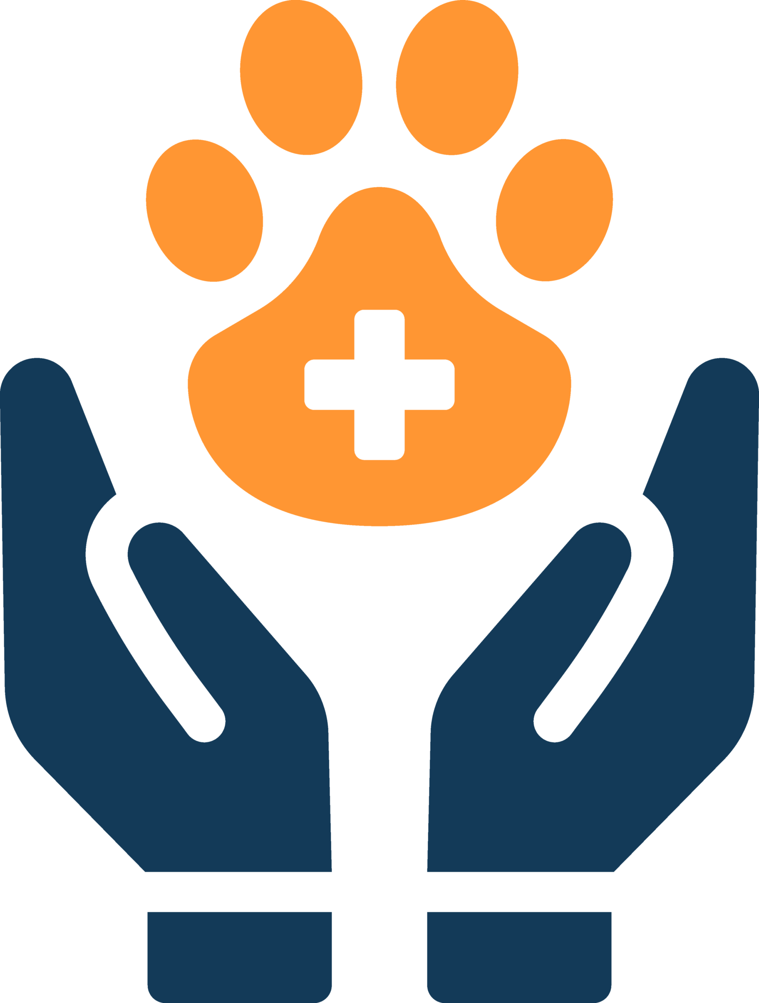 Pet Care Icon