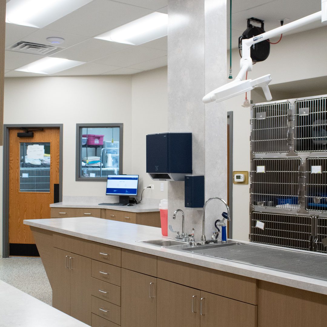 Veterinary Facility
