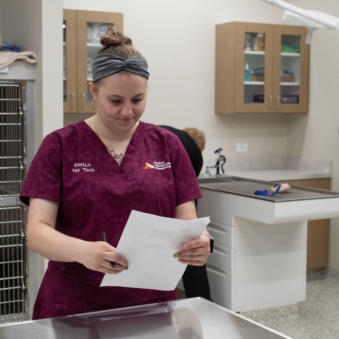 female veterinary staff members looking at a sheet of paper