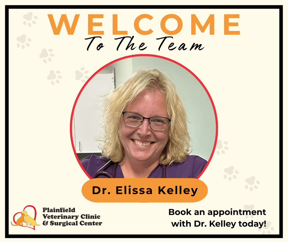 graphic welcoming Dr. Elissa Kelley to the practice