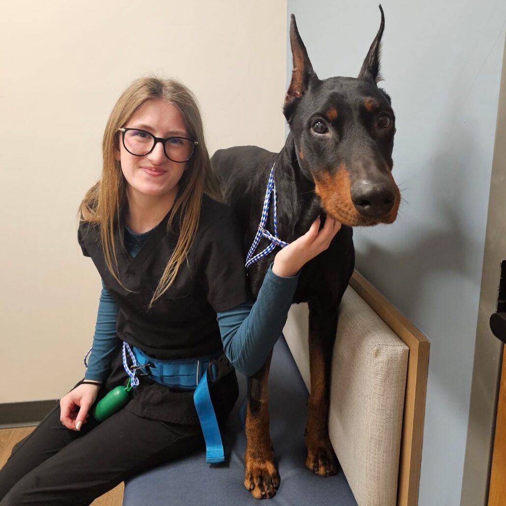 Gracie Kennel Assistant