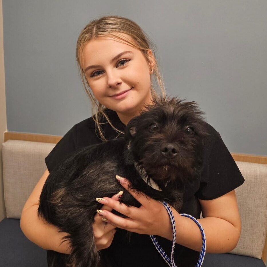 Vanessa Kennel Assistant