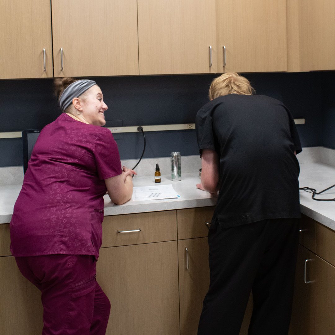 two veterinary team members chatting and smiling