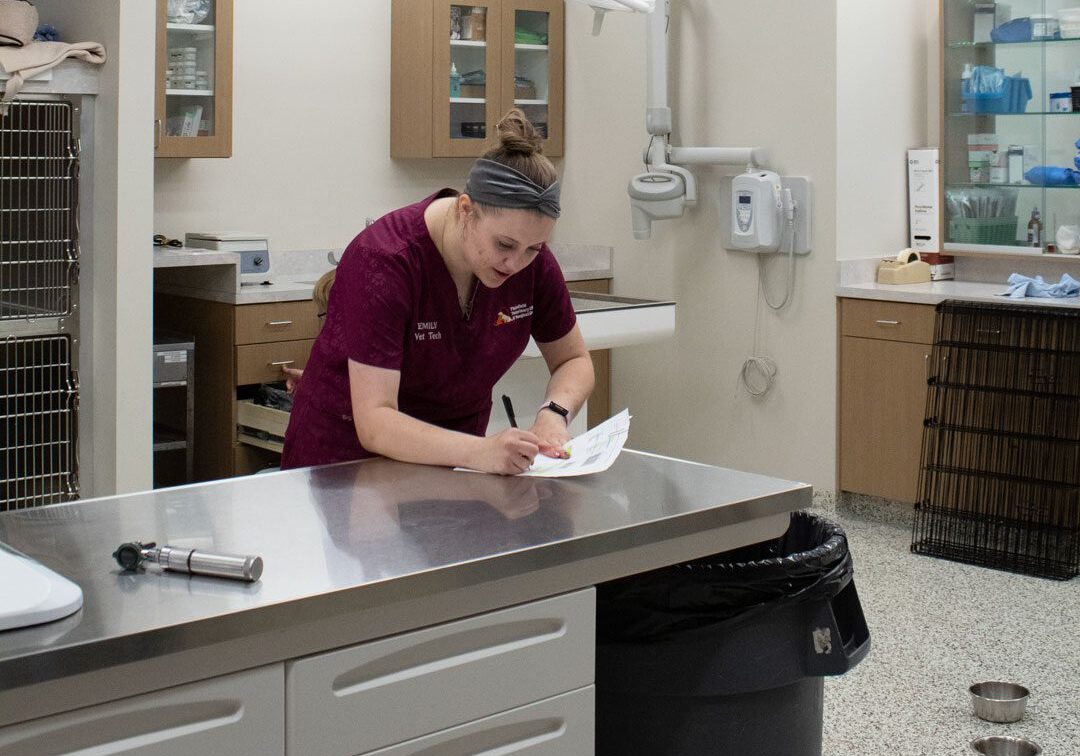 female-veterinary-technician-writing-on-paper